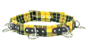 Bondage Belt With Pink Ring Plaid Yellow